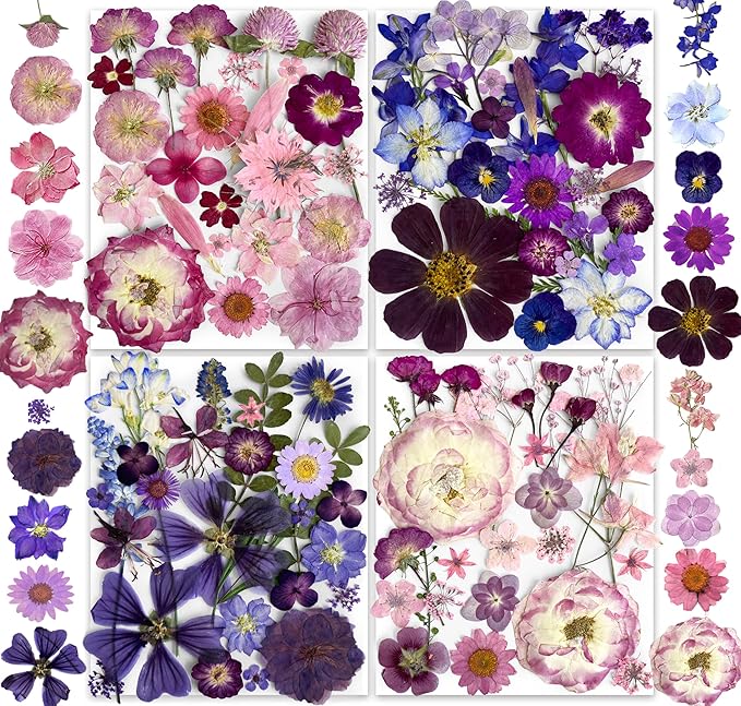 148PCS Purple Hot Pink Dried Pressed Flowers by YouthBro