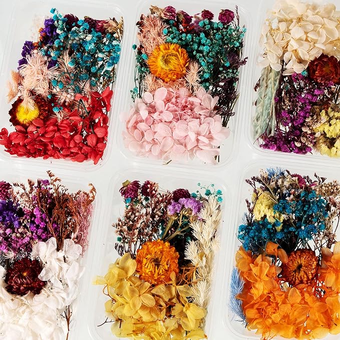 Nuanchu 200 Pcs Natural Dried Pressed Flowers and Leaves Resin Real Dried - Image 7