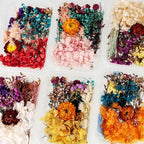 Nuanchu 200 Pcs Natural Dried Pressed Flowers and Leaves Resin Real Dried - Image 7