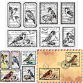 GLOBLELAND Vintage Flower and Bird Text Clear Stamps by GLOBLELAND