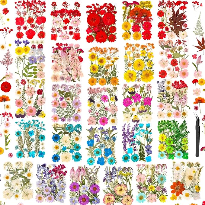 470 PCS Pressed Flowers for Crafts, Real Natural Dry Flowers by Cruzix