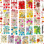 470 PCS Pressed Flowers for Crafts, Real Natural Dry Flowers by Cruzix