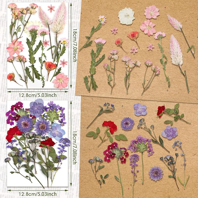 Nuanchu Dried Pressed Flowers for Crafts Resin Real Flat Dried Wildflowers Bulk - Image 3