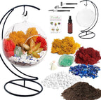 Creations by Nathalie DIY 5" DIY Globe Terrarium Kit - Image 2