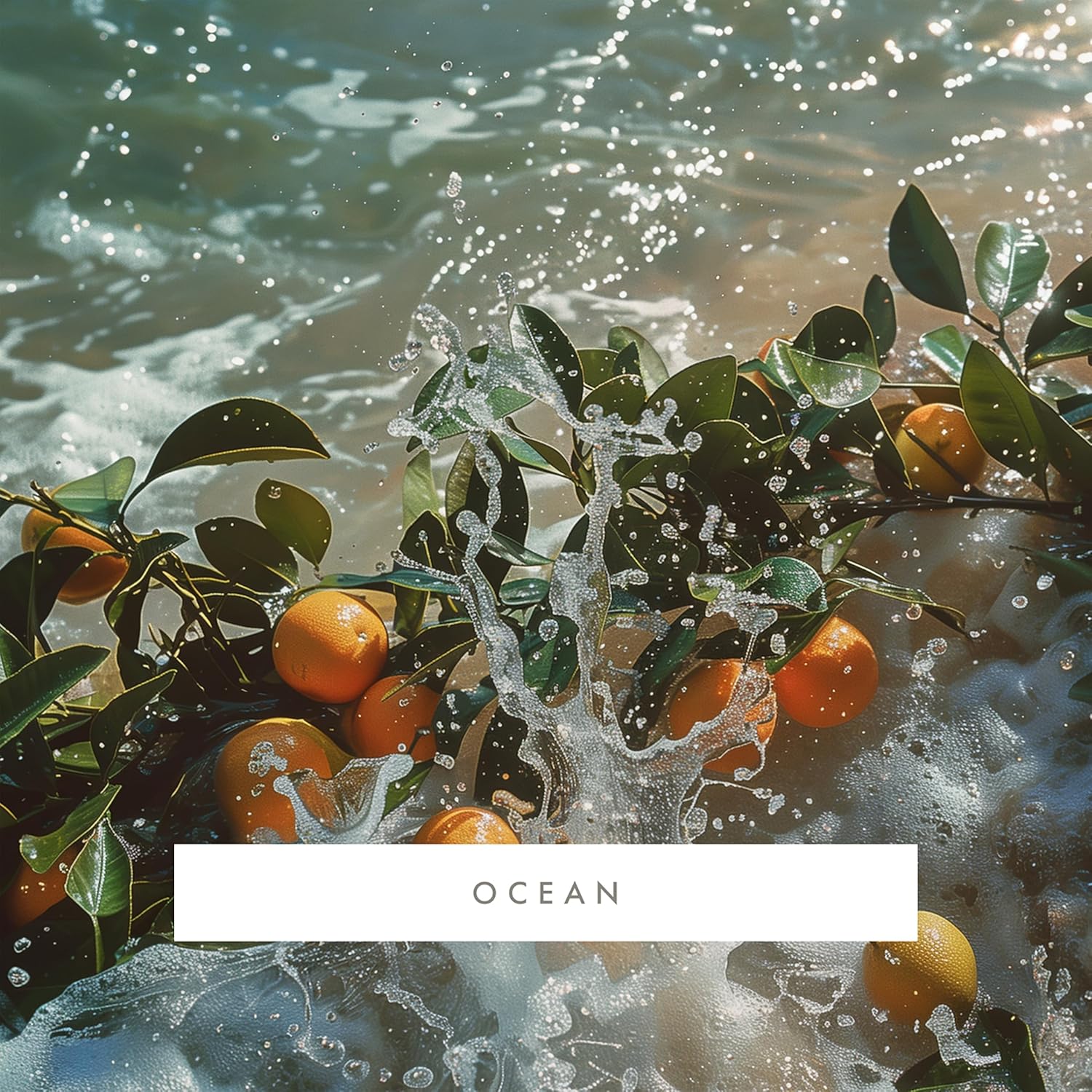 ScentAir Whisper Home Monthly Plug-in Refill, Fragrance Cartridge for Home and Office, Ocean