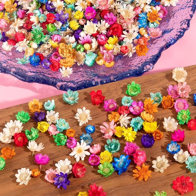 1800 PCS Small Dried Flowers for Crafts Resin by LGFMGWH