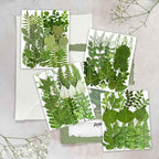 84Pcs Real Natural Dried Pressed Flowers & Green Leaves - Image 2
