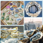 QICQDRAM 20PCS Flat Oyster Shells 4"-5" Large Oyster Shells - Image 6