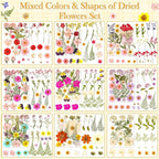 470 PCS Pressed Flowers for Crafts, Real Natural Dry Flowers - Image 4