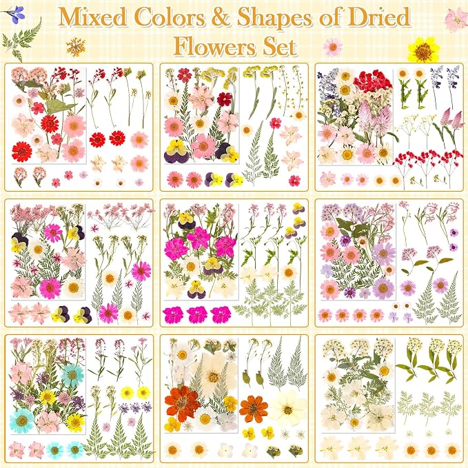 470 PCS Pressed Flowers for Crafts, Real Natural Dry Flowers - Image 4