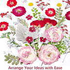 48 Pcs Mix Natural Dried Pressed Flowers - Image 6