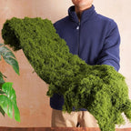 USMOLA Fake Moss Mat, Artificial Moss Table Runner - Image 2