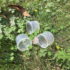 Coopay 20 Pcs Bug Jars Critter Insect Cage Magnifying Insect Box Bug Magnifier - Image 7
