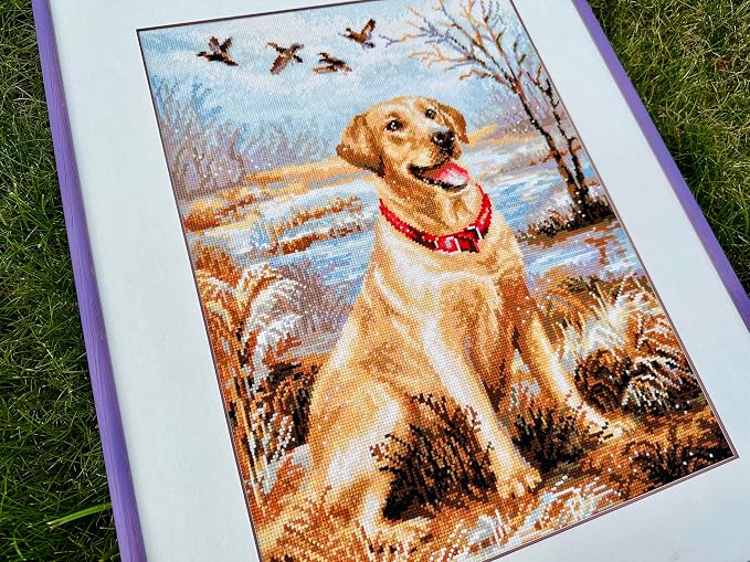 RIOLIS - Labrador 1399, Dogs Cross Stitch Kits 11, Counted Cross Stitch Kits - Image 8