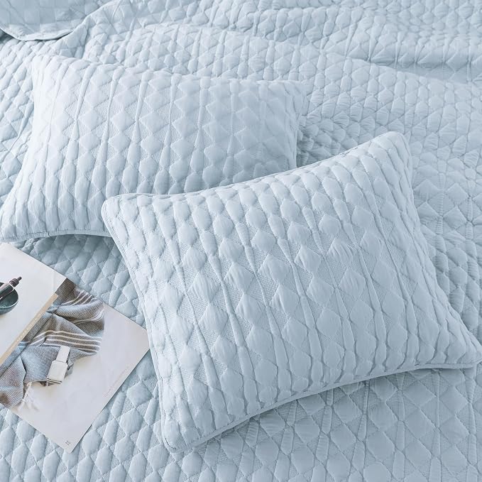 WDCOZY Light Blue Twin Size Quilt Bedding Set - Image 4