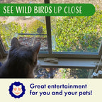 Window Bird Feeder with Strong Suction Cups, Balcony Glass Mount, Acrylic Cat - Image 6