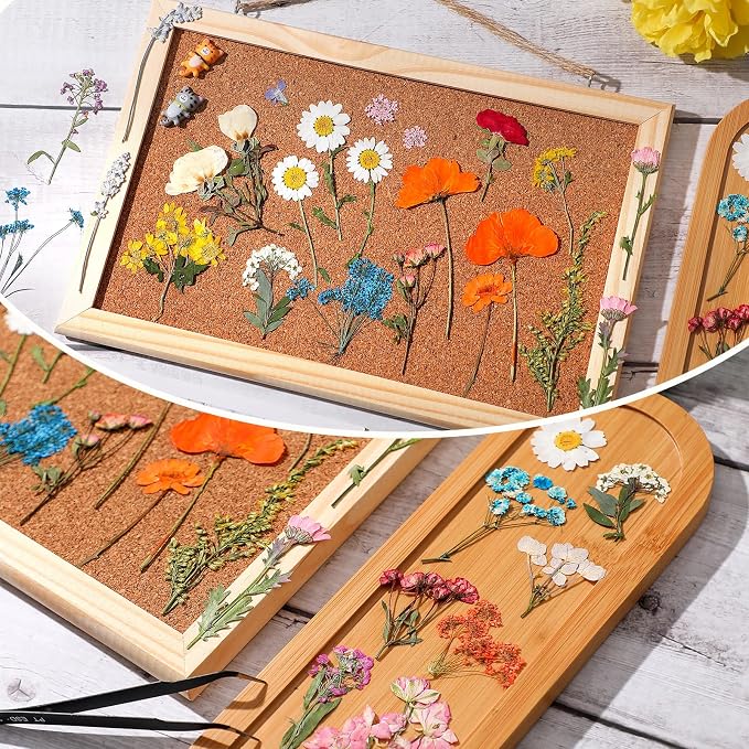 Nuanchu Dried Pressed Flowers for Crafts Resin Real Flat Natural Pressed Flowers - Image 2