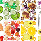 70PCS+ Nature Dried Pressed Fruits Flowers by YouthBro