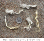 REAL MOHAIR LOCKS. Organic Natural White Wool Fiber - Image 2