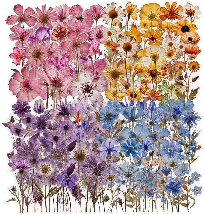 200 Pcs Dried Flower Stickers for Scrapbook Supplies, Pressed Flower Stickers by NEDIE