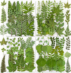 85PCS Real Green Dried Pressed Leaf Leaves, 28 Styles Greeny Mixed | 85PCS Real by YouthBro