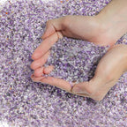T4U Tumbled Chips Stones Crushed Crystal Quartz 1 LB, Irregular Shaped Gravels by T4U
