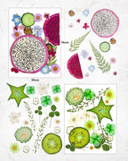 Resiners Dried Pressed Flowers for Resin Molds, Real Natural Dried Flowers Dry - Image 4