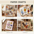 LUXEEASE 80P Vintage Pastel Dried Pressed Flowers | Soft retro pastels - Image 5