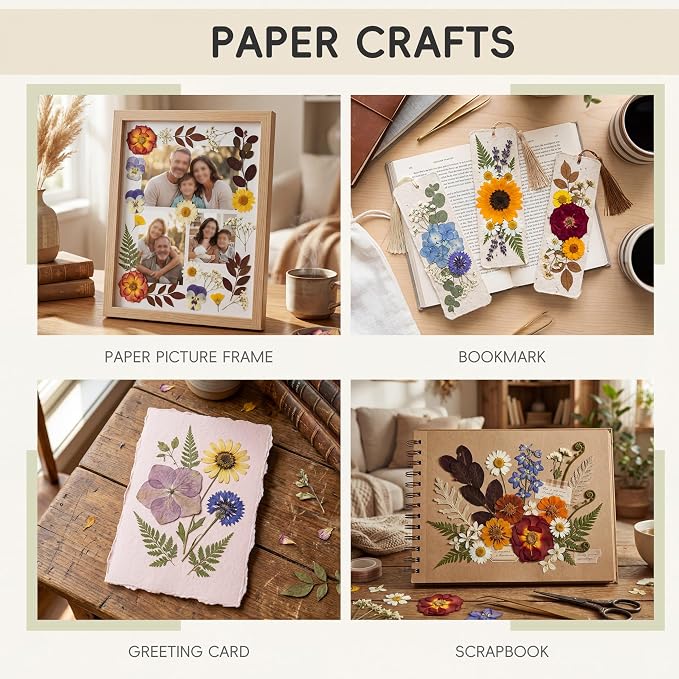 LUXEEASE 80P Vintage Pastel Dried Pressed Flowers | Soft retro pastels - Image 5