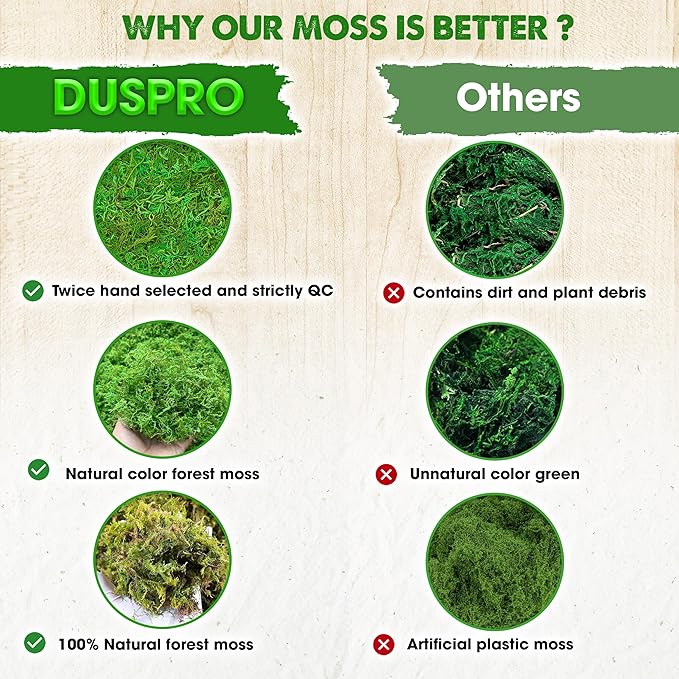 Duspro Green Forest Moss for Crafts, Real Dried Decorative Moss, 2.5 Lbs | - Image 3