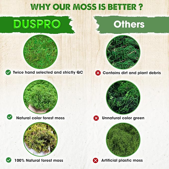 DUSPRO Green Forest Moss for Crafts, Real Dried Decorative Moss, 1.25 Lbs | - Image 3