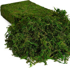 USMOLA 8OZ Fake Green Moss for Crafts, Terrariums, Fairy Gardens & Indoor Plants - Image 2