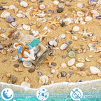 Tiny Sea Shells & 6 Starfish Decor Mixed Ocean Beach Spiral Seashells - Image 2