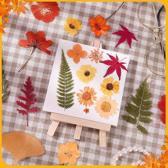 100 Pcs Fall Dried Pressed Flowers, Real Orange Dried Wildflowers Leave - Image 2