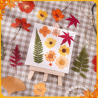 100 Pcs Fall Dried Pressed Flowers, Real Orange Dried Wildflowers Leave - Image 2