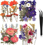 Nuanchu Dried Flower for Crafts Resin Pressed Flowers Bulk Dried Wildflowers by Nuanchu