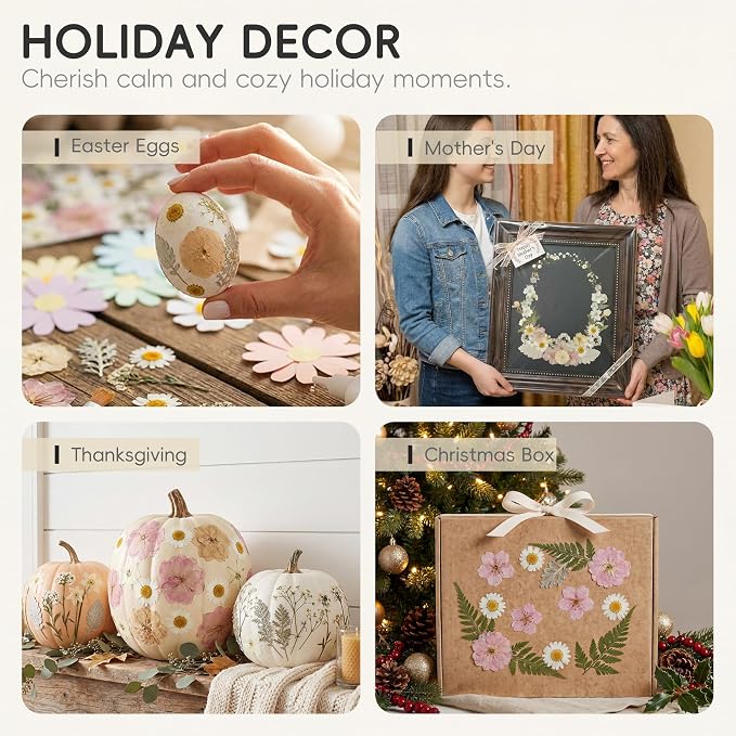 LUXEEASE 80P White Pink Dried Pressed Flowers | Ivory white palette, fits any - Image 7
