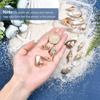 SUNNYCLUE 1 Box 16Pcs 4 Style Electroplate Spiral Seashells Craft Charms - Image 3