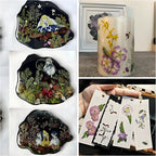 140Pcs Dried Pressed Flowers, Natural Dried Flowers Bulk - Image 4
