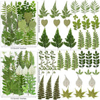 84Pcs Real Natural Dried Pressed Flowers & Green Leaves - Image 3