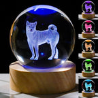 3D Shiba Inu Gifts for Women by Unknown