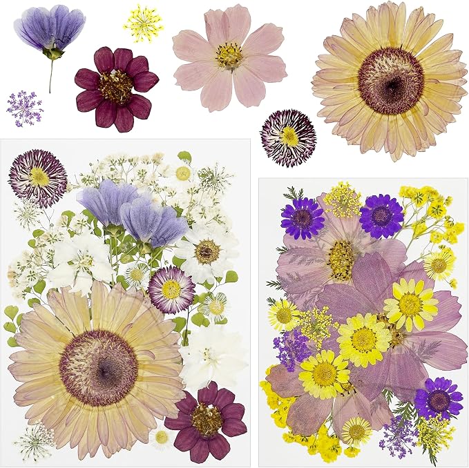 Woohome 44 PCS Real Pressed Flowers, Dry Leaves Natural Dried Pressed Leaves by Woohome