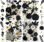 131PCS Black White Dried Pressed Flowers by YouthBro