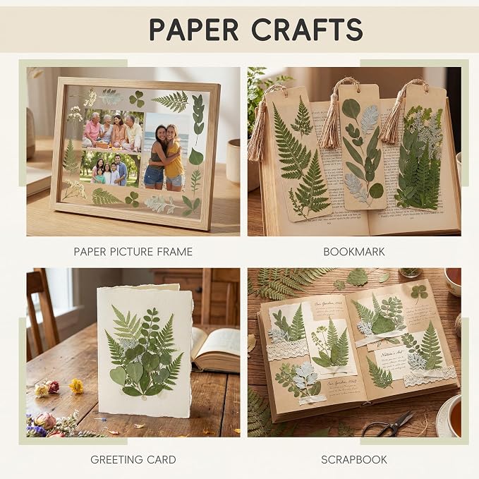 LUXEEASE 84P Earthy Green Dried Pressed Leaves | Fern eucalyptus leaves - Image 5