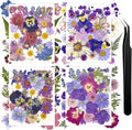 140Pcs Pressed Dried Flowers and Leaves Real Natural Dried Flowers by Wellcometowyegey