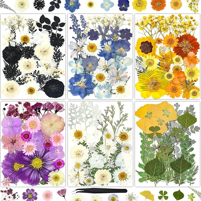 150Pcs Pressed Flowers for Crafts, Colorful Dried Flowers for Crafts Real by HLCYGJIN