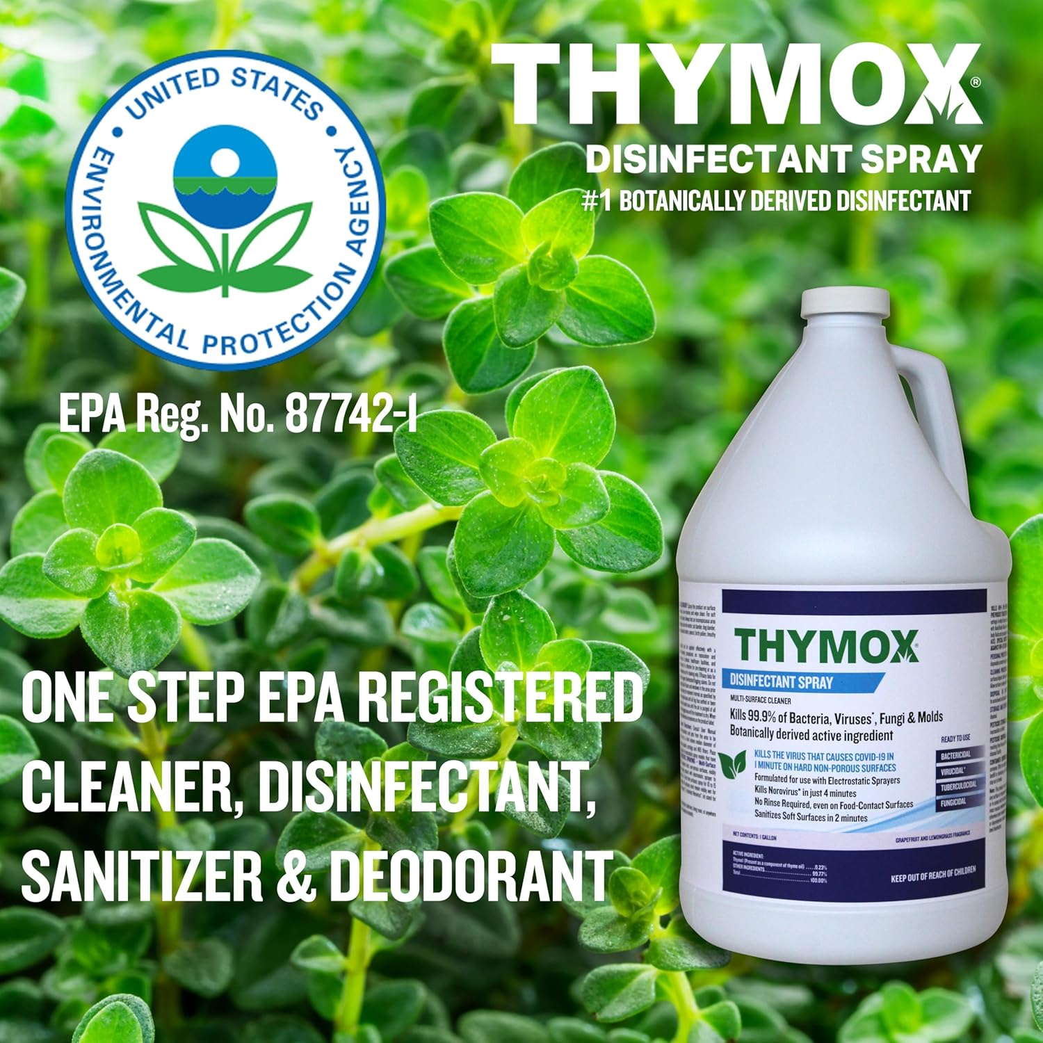 1 Gallon Botanical Disinfectant - All Natural Cleaner Mold Remover, Multipurpose Cleaner, Mold Killer - Ideal for Restoration Jobs and Water Damage, Pet Friendly Natural Disinfectant