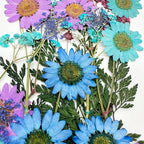 Woohome 110PCS Real Pressed Flowers, Dried Pressed Flowers Colorful Real - Image 5