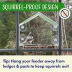 Window Bird Feeder with Strong Suction Cups, Balcony Glass Mount, Acrylic Cat - Image 3