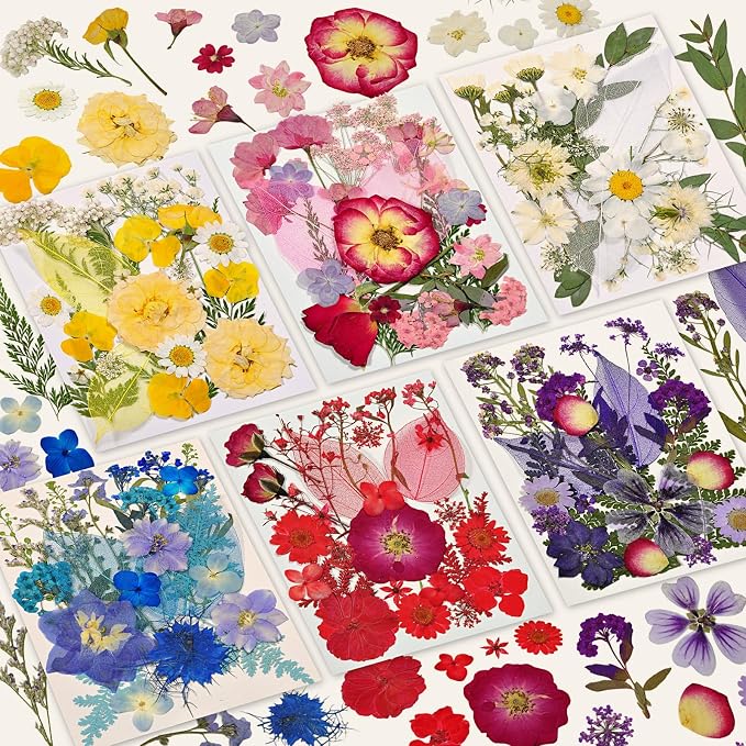 150 Pcs Dried Pressed Flowers for Resin | Real Nature Dried Flowers for Crafts by CONVELIFE